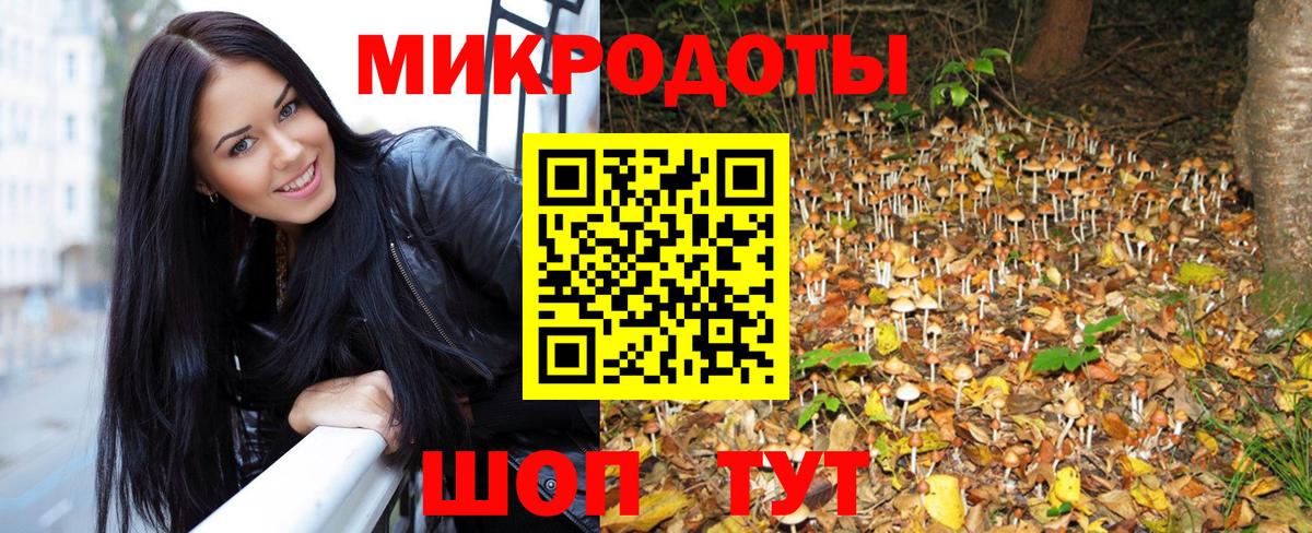 что такое   Псилоцибиновые грибы GOLDEN TEACHER  Вход с VPN  Галлюциногенные грибы Magic Shrooms  Дзержинск 